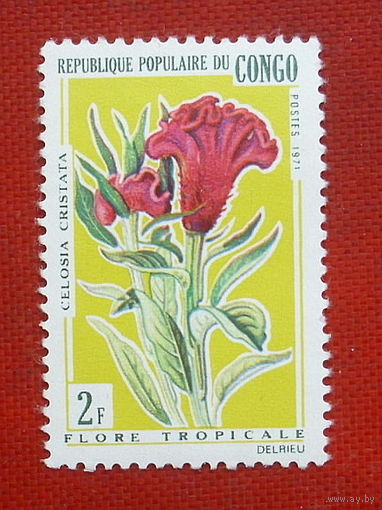 Конго. Цветы. ( 1 марка ) 1971 года. 5-13.