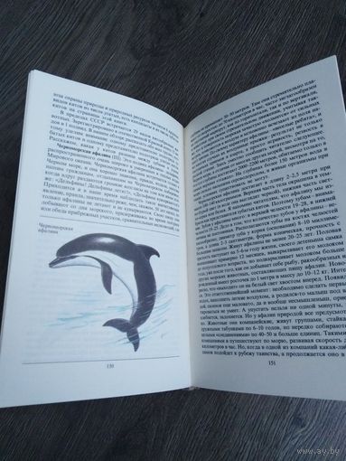 Редкие и исчезающие животные. Красная книга СССР