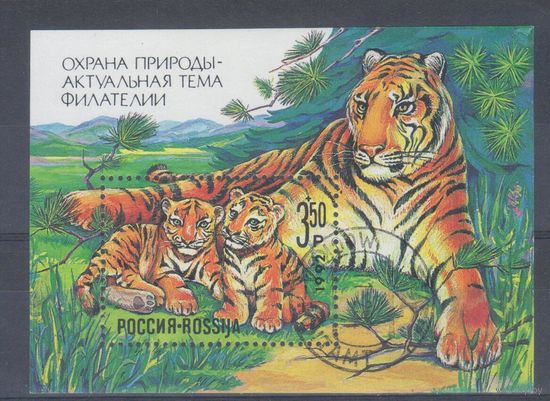 [1371] Россия 1992. Фауна.Охрана природы.Тигр. Гашеный блок.