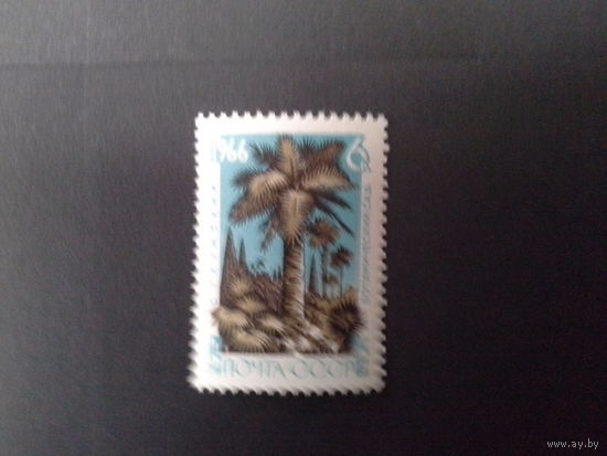 Ссср 1966. Пальма.