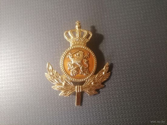Знак голландского полицейского