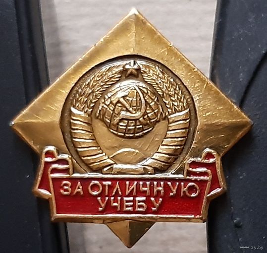 За отличную учебу. Анк-13