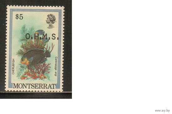 Монтсеррат-1981(Мих.41) , **    , Морская Фауна , Рыбы,Надп.