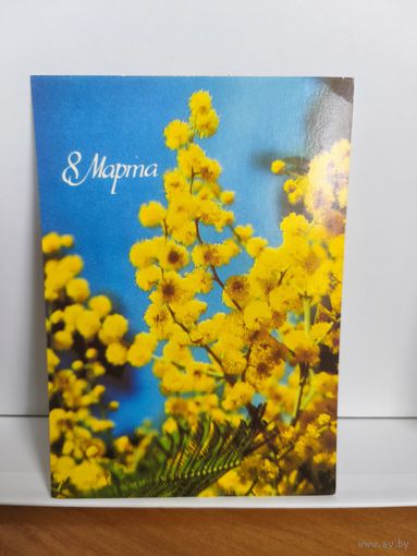 Открытка чистая, 1986г. 8 марта. Фото В. Панова. 14