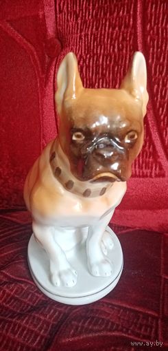 Боксер лфз.