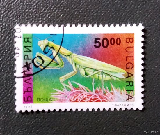 Марка Болгария 1992 год Насекомые