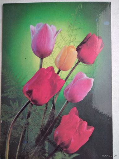Открытка ,,с праздником,, костенко ,1989 г, чистая