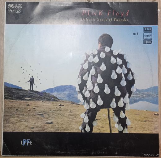 Pink Floyd – Delicate Sound Of Thunder.  1