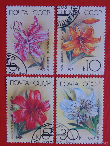 1989 СССР. Лилии. Полная серия.