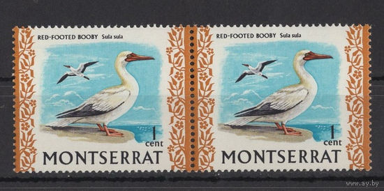 Монтсеррат 1970** Фауна Птицы сцепка SG#242