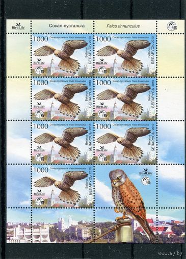 Беларусь 2010. Птица года. Сокол-пустальга. Малый лист