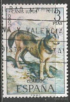 Испания. Волк. 1972г. Mi#1999.