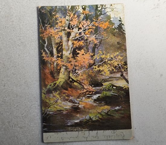 1906 год Курляндия Открытка