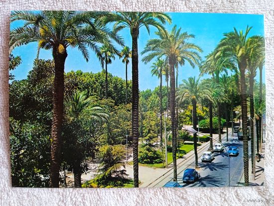 Испания, Валенсия. Авеню художника Пинасо Аламеда