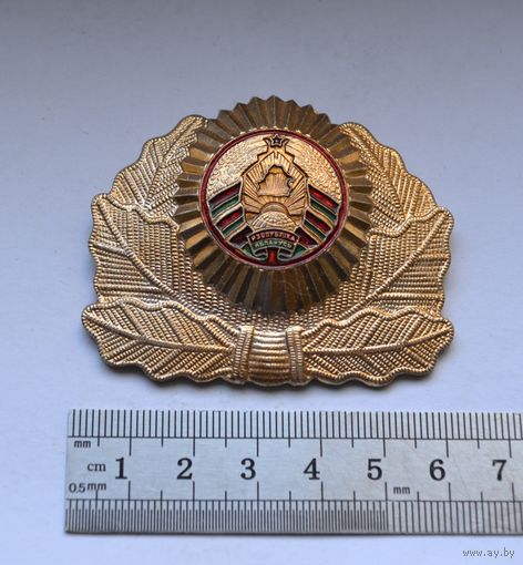 Кокарда МВД, Беларусь.