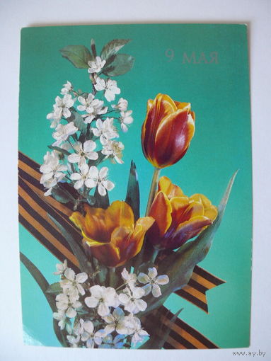 Дергилев И., 9 мая; 1989, 1990, чистая.