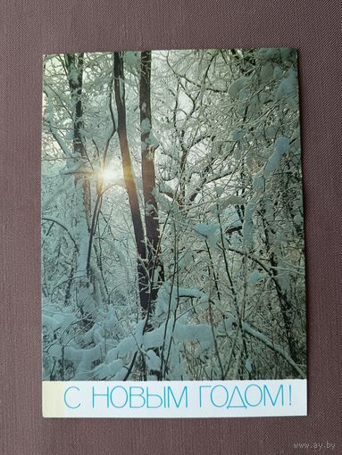 Почтовая карточка С Новым Годом, 1987 год, фото В.Жаворонкова, ю-12-7 (3958)