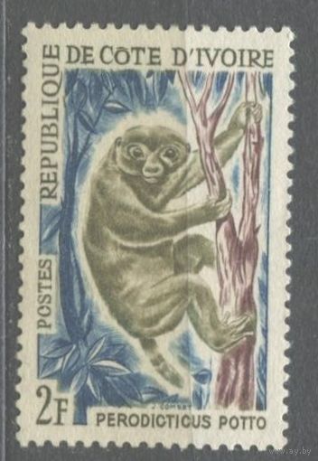 КОТ ДИВУАР 1964 ФАУНА АФРИКИ ПРИМАТЫ Обезьяна**