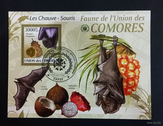 ЛИСТ ФАУНА ПТИЦЫ  СТО