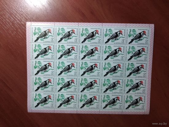 СССР 1979 МАЛЫЙ ПЕСТРЫЙ ДЯТЕЛ