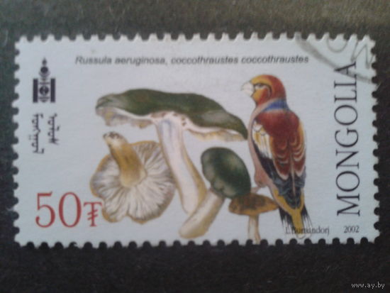 Монголия 2003 грибы и птица