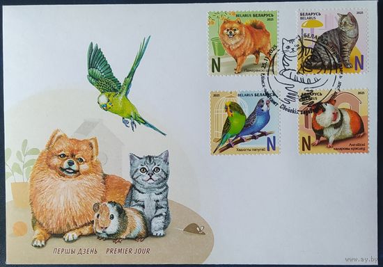 Беларусь 2025 КПД, домашние питомцы .