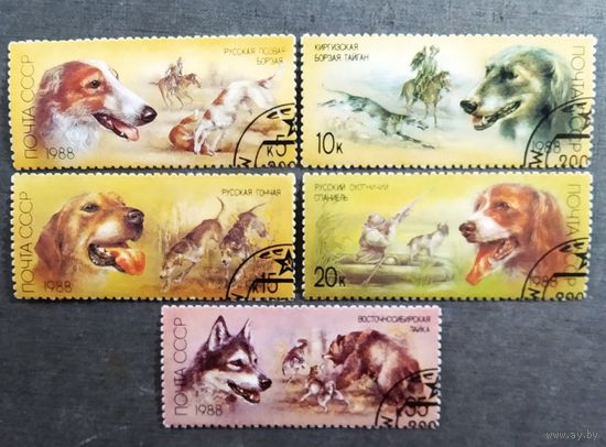Марки СССР 1988 год Собаки