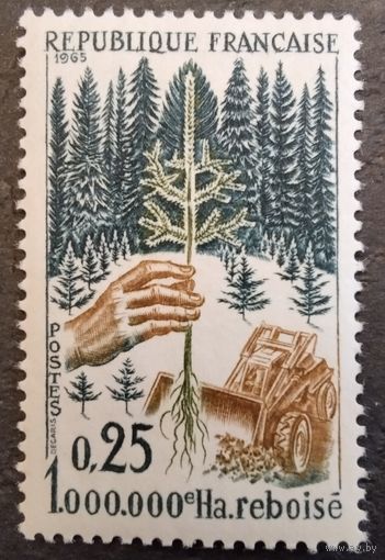 Франция. 1965г. Mi1524**. Восстановление леса.