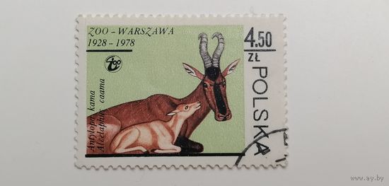 Польша 1978. Животные зоопарка