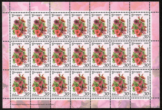 Беларусь. 2008. Стандарт.  Петуния (30р) (з.25-2009) Лист