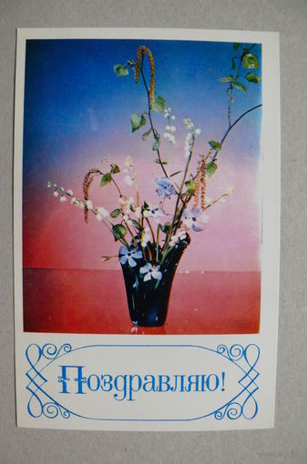 Егорова З., Шамшин К.(фото), Поздравляю! 1974, чистая.