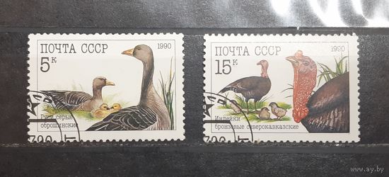 СССР. 1990 год. Фауна. Домашние птицы (397)