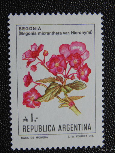 Аргентина.  Цветы.