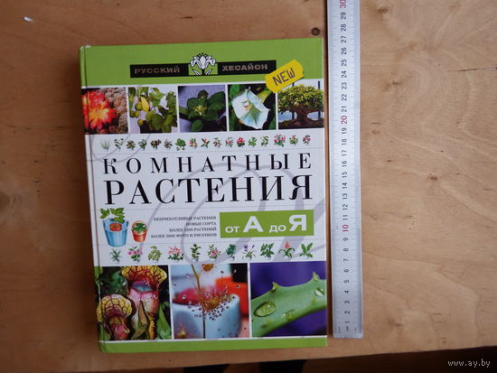 Комнатные растения