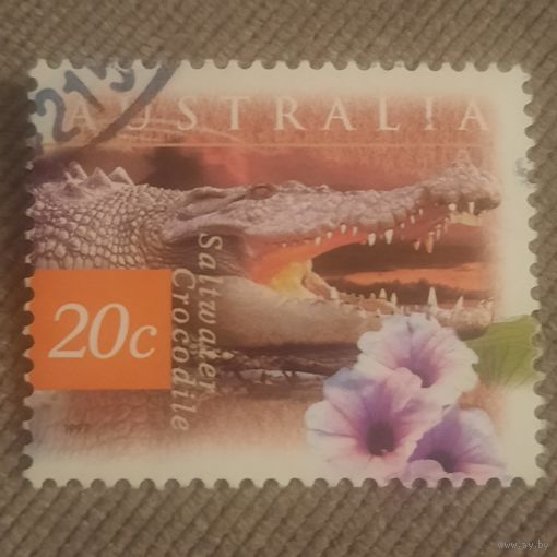 Австралия 1997. Фауна. Saltwater Crocodile