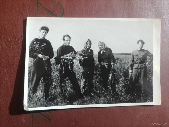 Старое фото в коллекцию