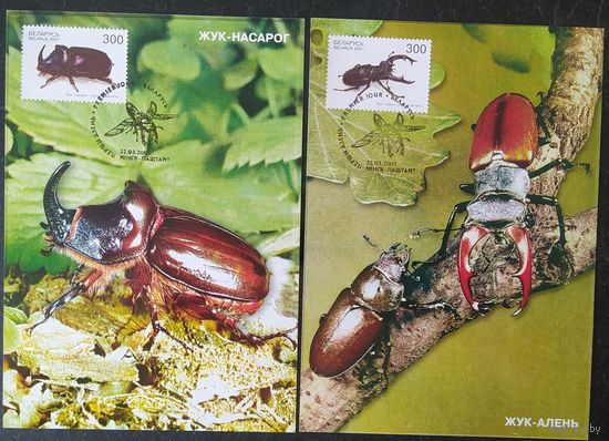 Беларусь 2001 КМ жуки.