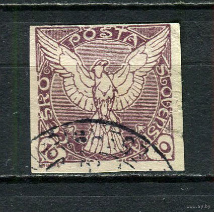Первая Чехословацкая республика - 1918/1919 - Газетная марка 10Н - (есть надрыв) - [Mi.15] - 1 марка. Гашеная.  (Лот 82FR)-T25P27