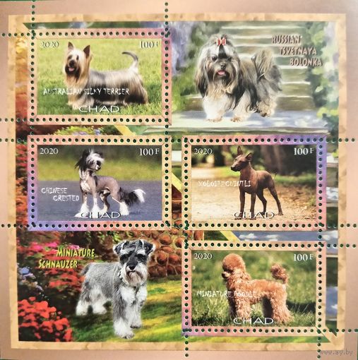 Чад 2020. Породы собак. Малый лист