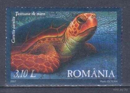 [2400] Румыния 2007. Фауна.Черепаха. Гашеная марка.