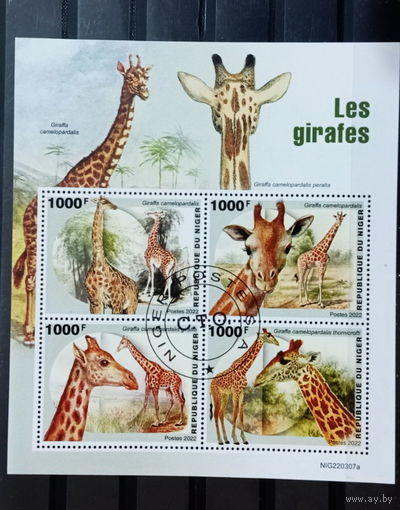 ЛИСТ ФАУНА жирафы  СТО