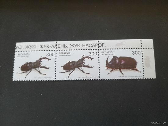 Беларусь 2001 жуки
