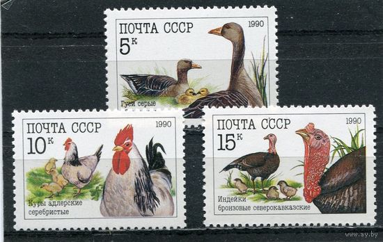 СССР 1990. Домашние птицы