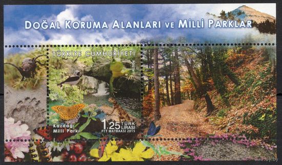 Турция 2015. Фауна, флора, бабочки , насекомые, национальный парк (4193)