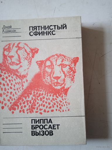 Пятнистый сфинкс.пиппа бросает вызов