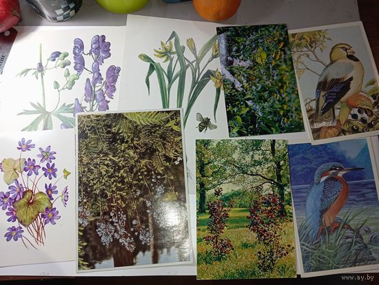 Открытки флора  , фауна с рубля .