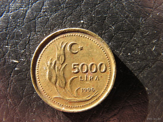 Турция. 5 000 лир.1996. С 20 копеек. Распродажа коллекции. Смотрите другие лоты.