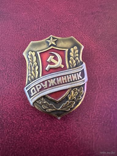 Дружинник