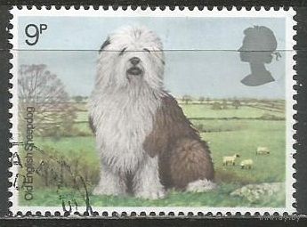 Британия. Собаки. Бобтейл. 1979г. Mi#781.