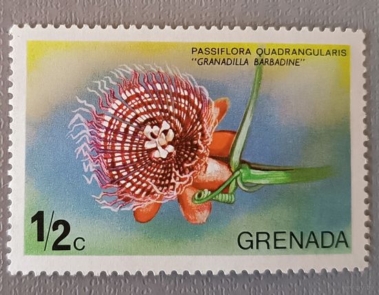 Пассифлора. Гренада